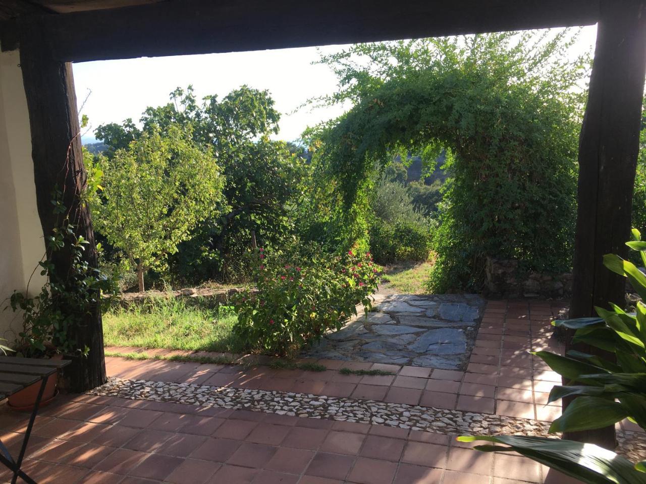 Finca Horno De Cal アラセナ エクステリア 写真