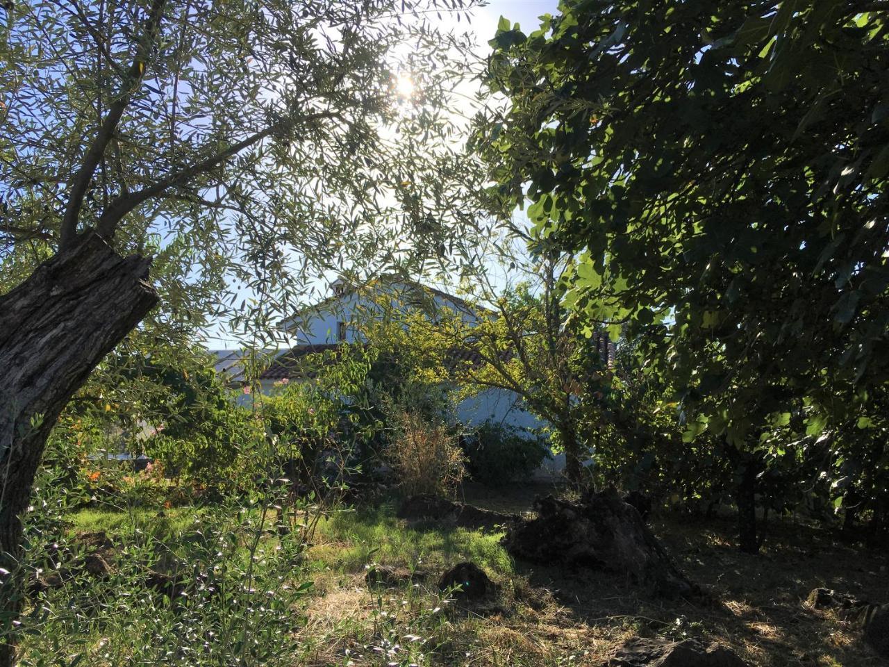 Finca Horno De Cal アラセナ エクステリア 写真