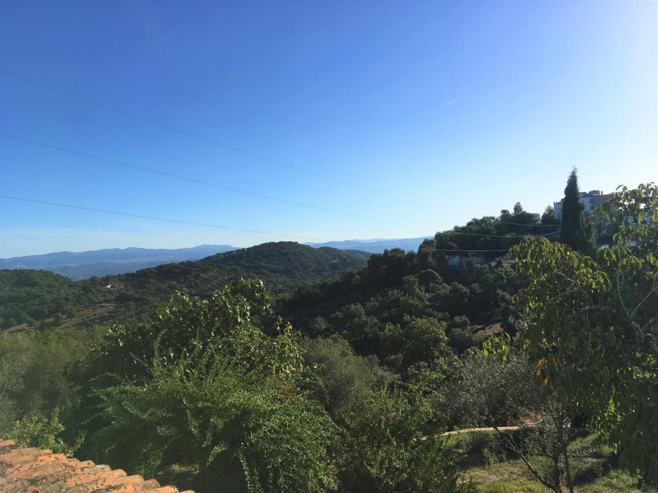 Finca Horno De Cal アラセナ エクステリア 写真