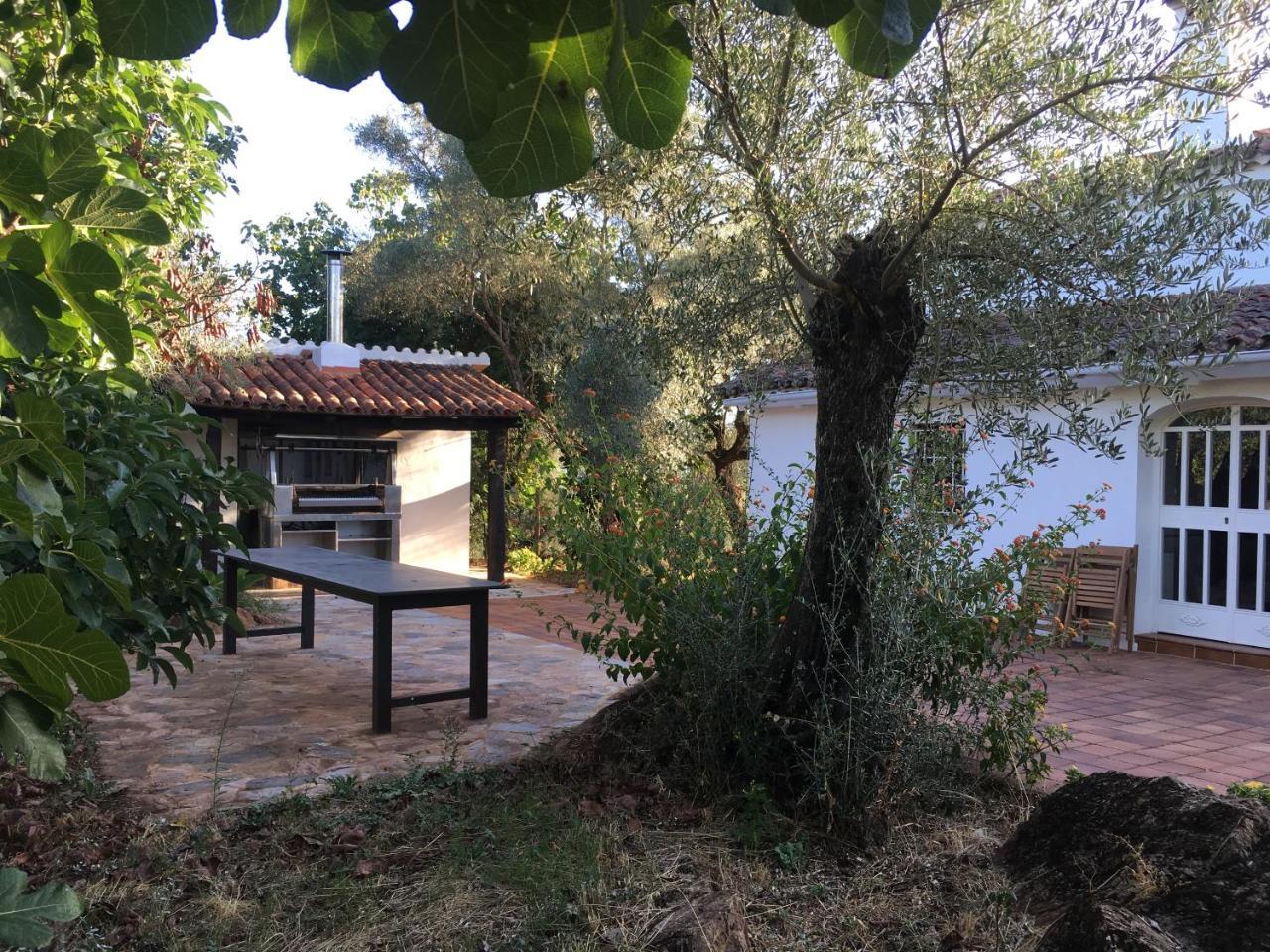 Finca Horno De Cal アラセナ エクステリア 写真