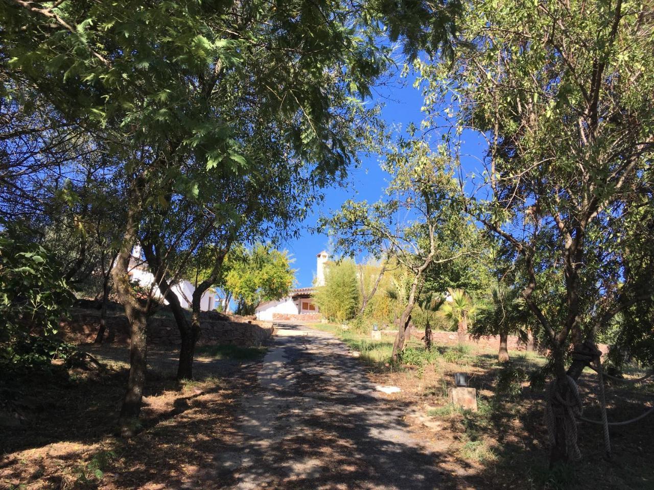Finca Horno De Cal アラセナ エクステリア 写真